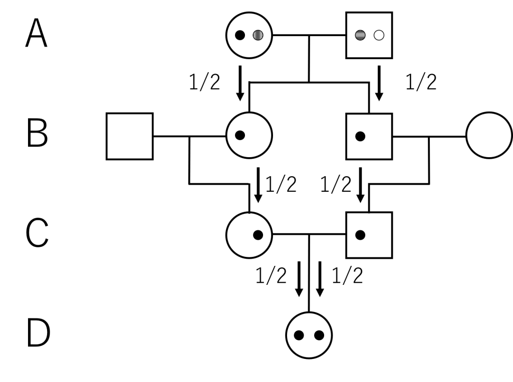 なぜ近親交配が禁じられるのか 近交係数の計算 Kim Biology Informatics