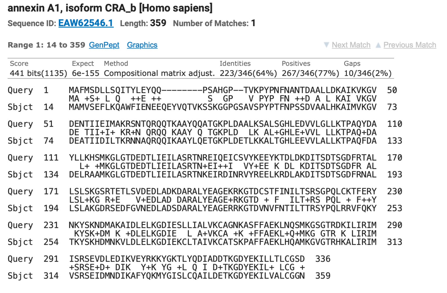 Protein blast における ‘Positives’ はどんな意味か？ Kim Biology & Informatics