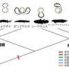 肺の起源と進化について